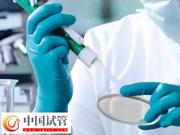 長治和平醫(yī)院試管生雙胞胎費用多少(圖2)