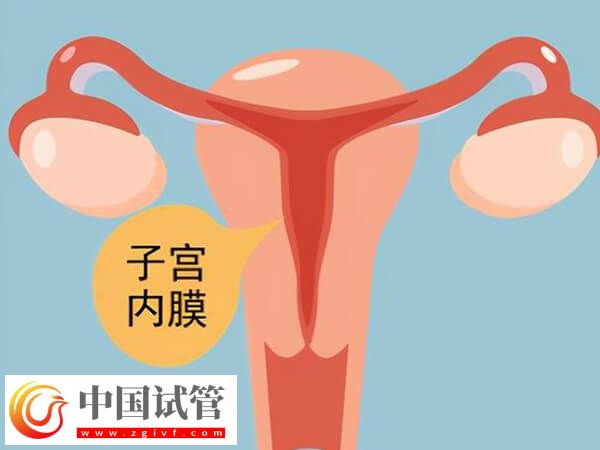 子宮內膜厚度多少做試管嬰兒才能成功著床？(圖2)