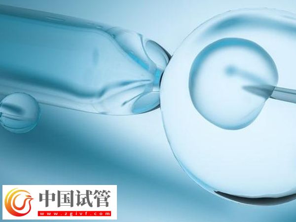 日照人民醫(yī)院試管促排費(fèi)用(圖1)