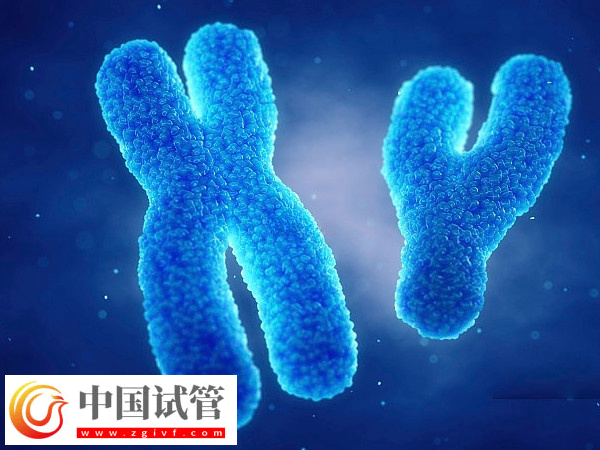 日照人民醫(yī)院試管促排費(fèi)用(圖3)