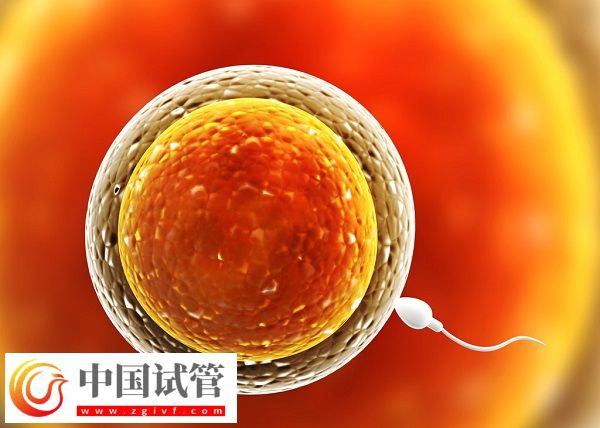 河南省人民醫(yī)院生殖中心胚胎保存費(圖1)