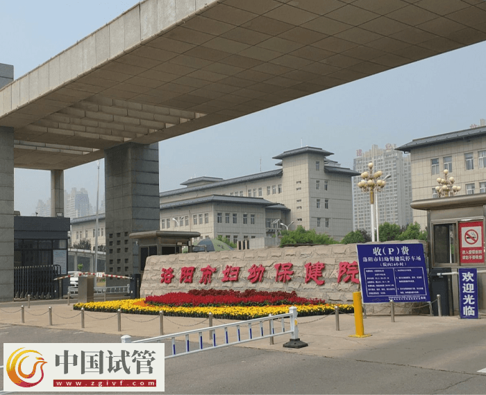 洛陽市婦幼保健院試管需要什么證件(圖1)