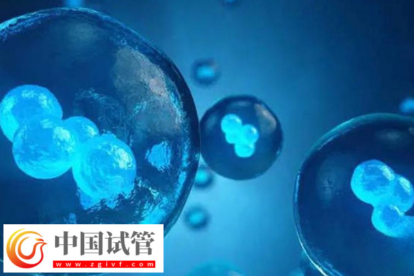 前往柬埔寨凍卵的價格(圖2)