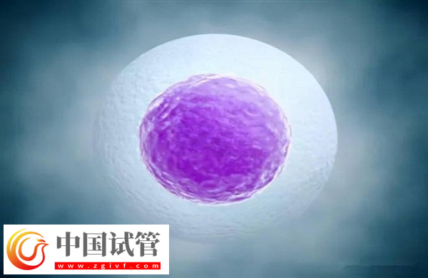 單身在馬來西亞做試管違不違法(圖2)