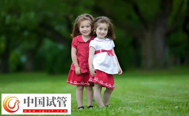 大連試管嬰兒費用解析：雙胞胎與單胞胎的差異！(圖1)