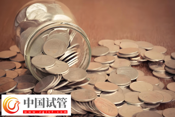 大連試管嬰兒費用解析：雙胞胎與單胞胎的差異！(圖2)