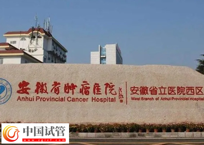 安徽省立醫(yī)院凍胚時(shí)間到了怎么續(xù)費(fèi)(圖1)