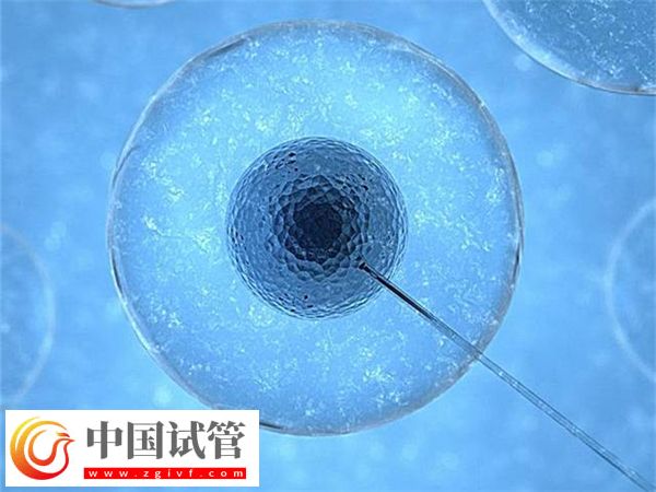 合肥省立醫院試管成功率怎么樣(圖2)