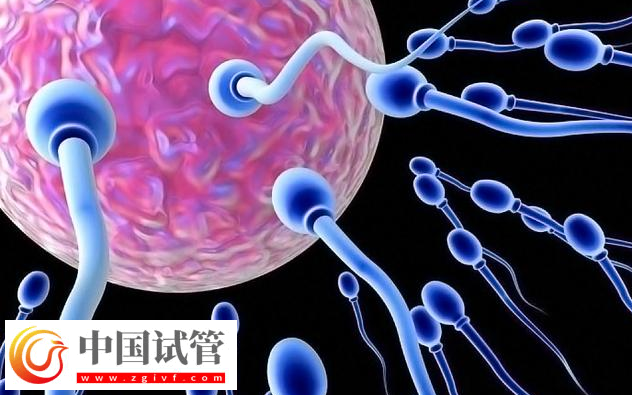 上海新華醫(yī)院單身未婚無證怎么做三代試管嬰兒生子？(圖1)