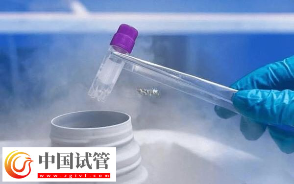 2025加拿大供卵是否違法(圖1)