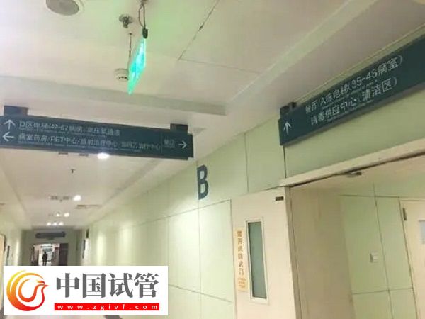 2025加拿大供卵是否違法(圖2)