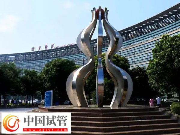 上海曙光醫(yī)院試管成功率排名第幾(圖1)