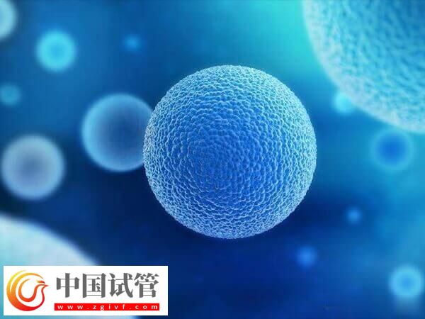 超長方案卵泡少是好事還是壞事(圖1)