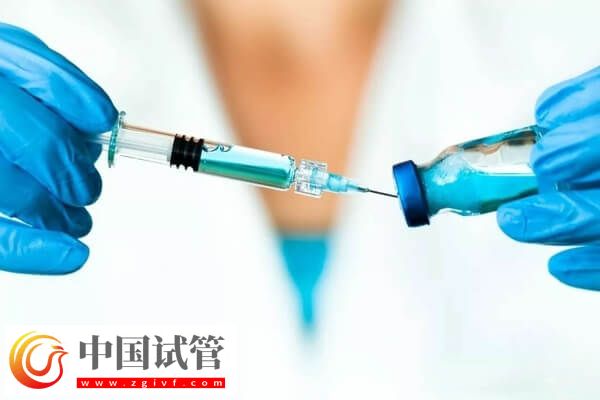 超長方案卵泡少是好事還是壞事(圖2)