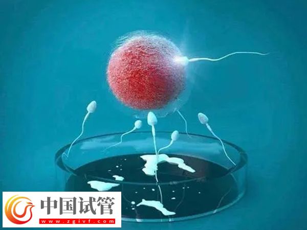 銀川附屬醫(yī)院和婦幼保健院做試管哪家好(圖1)