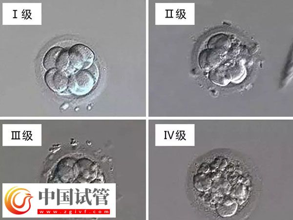 南昌婦幼做試管醫生排名(圖2)