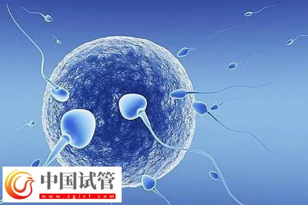 南京做試管醫保報銷比例(圖2)