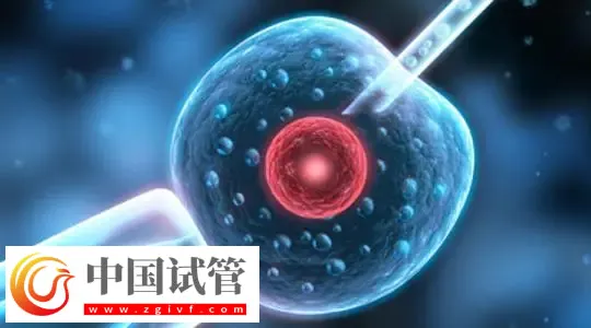 廣州哪家做試管嬰兒可以包懷上的？首選中山大學(xué)附屬第一醫(yī)院(圖1)