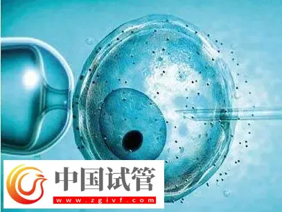北京做供卵試管不用排隊的醫院有哪些？這些公立醫院紛紛上榜(圖3)