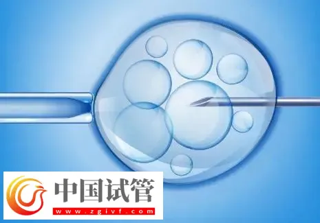 濟(jì)南2025試管助孕代/懷產(chǎn)子機(jī)構(gòu)名單，附流程與費用介紹(圖1)