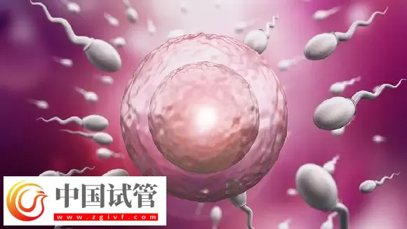 深圳試管助孕怎么樣，附費用，流程，機構等信息一覽(圖1)