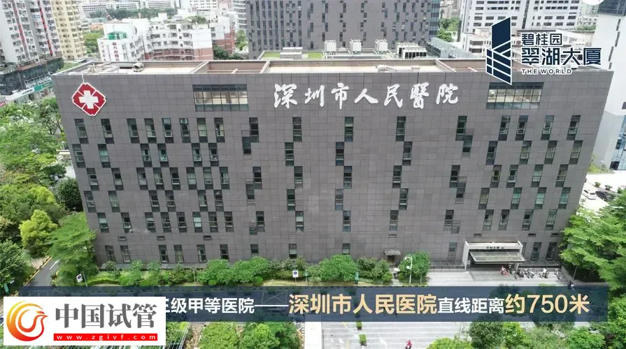 深圳試管助孕怎么樣，附費用，流程，機構等信息一覽(圖4)