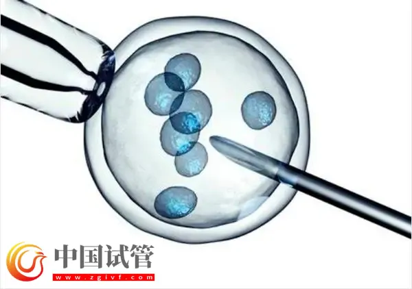 青島做試管最好的醫院top10名單匯總：青島大學附屬醫院位列榜首(圖1)