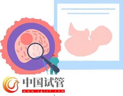 北京試管助孕大概要多少錢？這是2024最新收費標準(圖2)