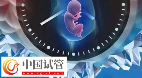 重慶助孕機構名單匯總，附聯系方式與三代包生男孩費用清單(圖1)