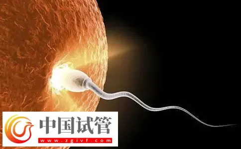 重慶助孕機構名單匯總，附聯系方式與三代包生男孩費用清單(圖3)
