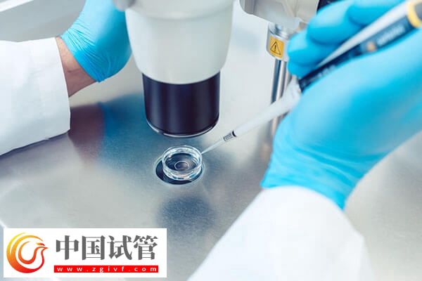 做試管取卵后還要做什么(圖1)