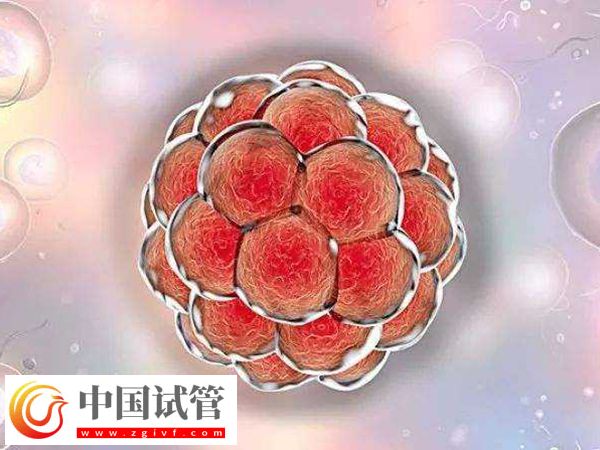 馬來西亞做試管多少錢(圖2)