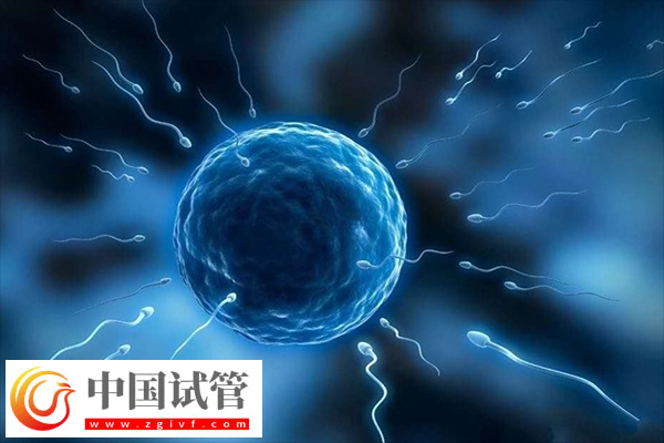 常州試管嬰兒醫(yī)院有哪些(圖2)
