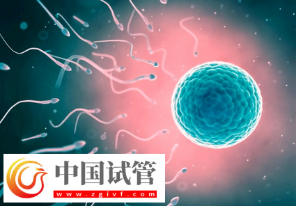 試管嬰兒取卵后怎么有效保養(yǎng)卵巢(圖1)