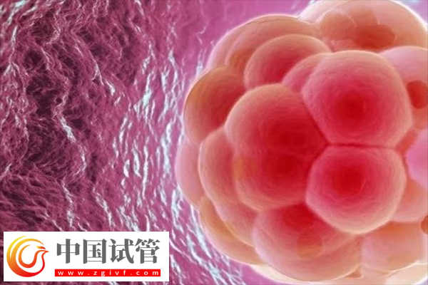 在美國做試管卵泡監(jiān)測幾次能成功(圖3)