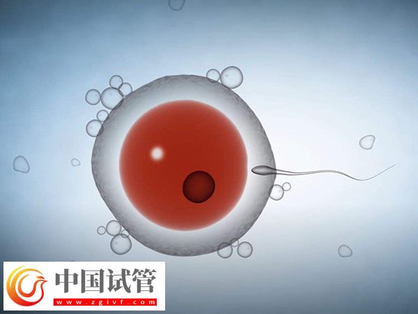 美國試管嬰兒促排取卵是什么感受(圖1)