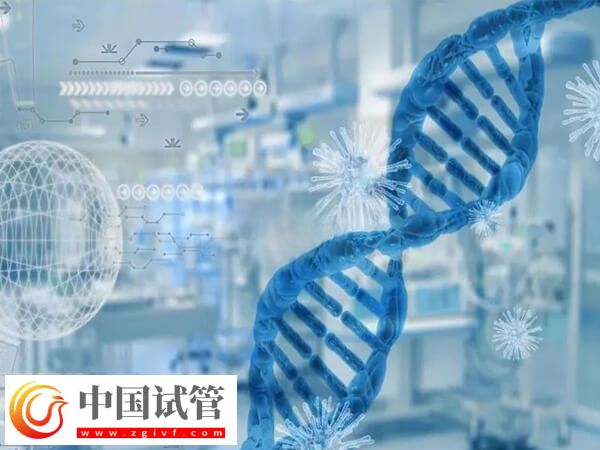 cep290基因突變做試管有沒有用(圖2)