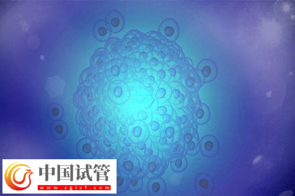 試管嬰兒是不是從試管中出來的(圖2)