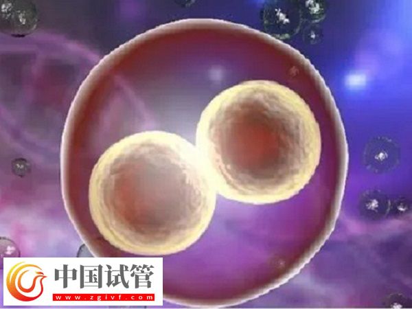 浙江溫州附二醫(yī)試管好不好(圖2)