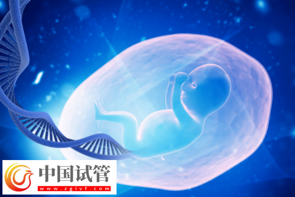 如何解讀胚胎篩查結(jié)果報(bào)告單(圖2)