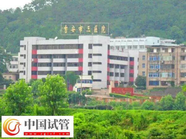 吉安市第三人民醫(yī)院二代試管穿刺取精的成功率高嗎？(圖1)