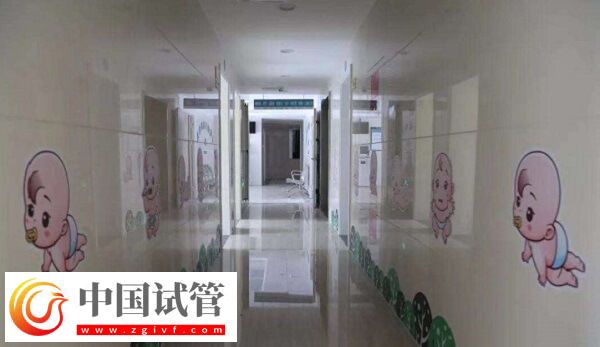 湖州試管嬰兒醫(yī)院成功率排名比較好的有哪些？(圖1)