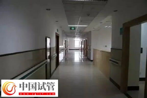 衢州公立試管醫院中成功率排名第一的是哪家？(圖1)
