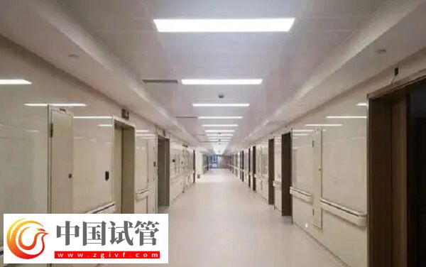 龍巖一院和二院哪個做人工受精好，成功率高？(圖1)