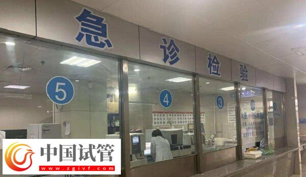 宿州做試管嬰兒選煤電總醫院和市第一人民醫院哪個好？(圖1)