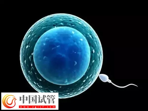 北京試管醫(yī)院有哪些(圖4)