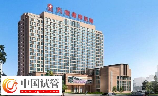 六安公立醫院做一次供卵試管嬰兒要多少錢？(圖1)
