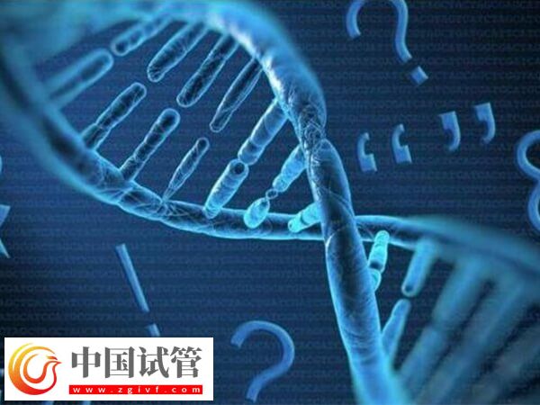 白山有沒有能做無創親子鑒定的醫院？(圖1)
