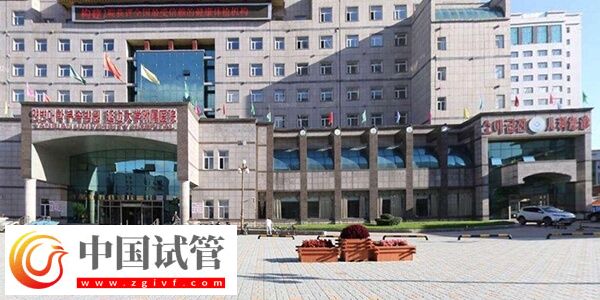 延邊大學附屬醫院做試管成功率怎么樣？有一次成功的嗎？(圖1)