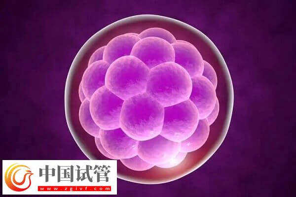 二代試管嬰兒費用要多少(圖2)